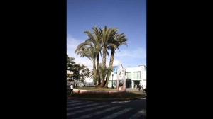 Cerámica Arquitectónica de espacio público. Rotonda del polideportivo La Palma CF