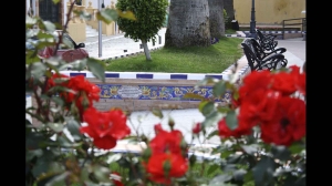 Jardín con decoración cerámica